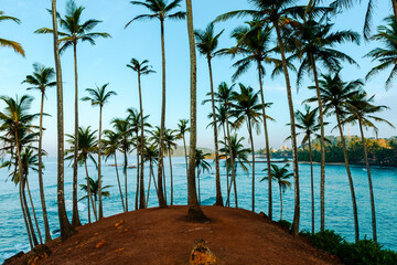 Coconut tree hill in the western province of Mirissa, Sri Lanka.