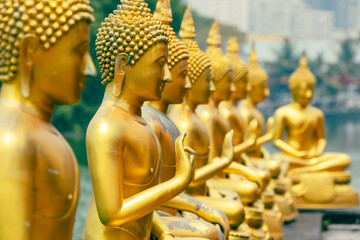 Buddha Statues in Seema Malaka Temple, Colombo, Sri Lanka.