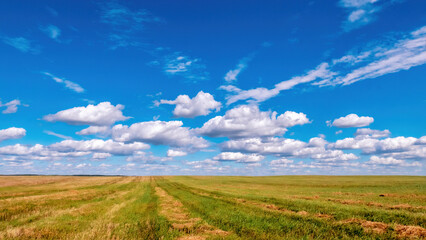 Fototapeta na wymiar Colorful cumulus clouds in a bright blue sky over a freshly mown field stretching beyond the horizon. Bright background