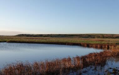 A beautiful scenic view of Bowers Marsh wetland nature reserve in Essex, UK under a clear blue sky. 