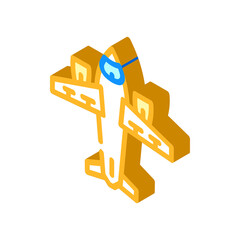 airplane transport isometric icon vector. airplane transport sign. isolated symbol illustration