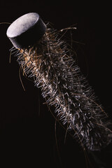 Dirty Hairbrush Details