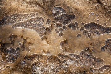 Dirty puddle with ice. Melting spring water.