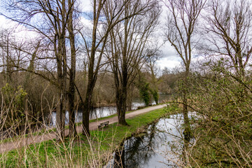 lac arbor&eacute; avec chemin