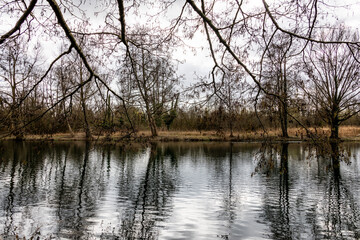 lac arboré avec reflet dans l'eau