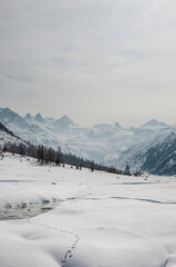 Fototapeta premium Val Roseg, Piz Roseg, Ova da Roseg, Rosegbach, Piz Sella, Piz Glüschaint, Sellagletscher, Winterwanderweg, Langlaufloipe, Berninagruppe, Oberengadin, Alpen, Winter, Wintersport, Graubünden, Schweiz 