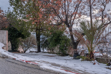 Snow in the Druze village of Beit-Jann in winter, Mount Meron, Upper Galilee, Northern Israel,...