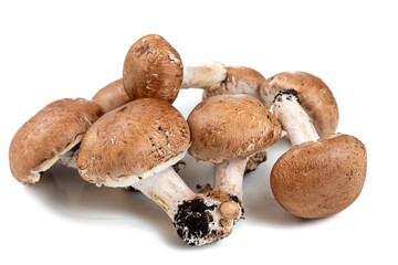 Champignon mushrooms on white background, space for text