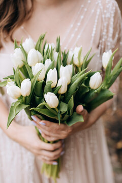 Many white tulips in the hands of the bride. A wonderful gift