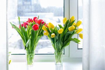tulips in vase in the window