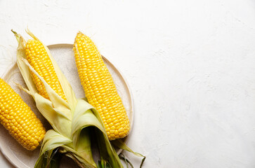 Three corncobs in a plate on a white background. 