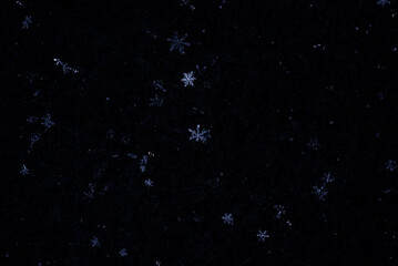 Snowflakes falling on black background