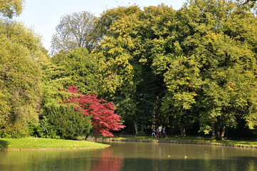 Paisaje natural en el Jardín Inglés de la ciudad de Munich en Alemania