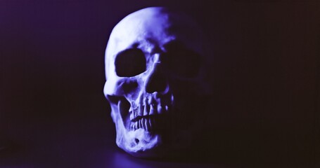 Skull with colored lighting closeup
