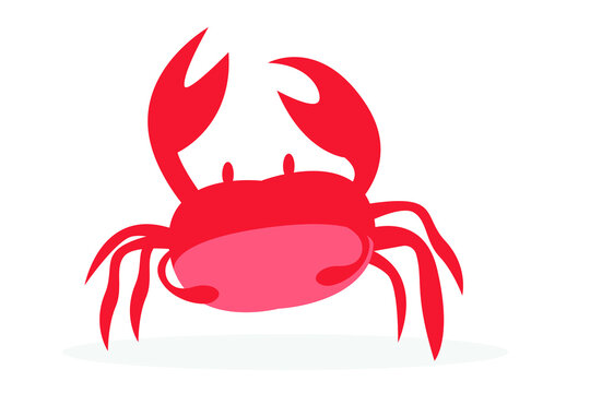 Red crab seafood animal character vector illustration, isolated on white