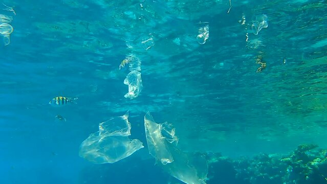 A lot of plastic trash swims in the blue water with colored tropical fishes near coral reef. Underwater shot. Plastic pollution of the Ocean. Massive plastic pollution in the Red Sea (4K - 60fps)