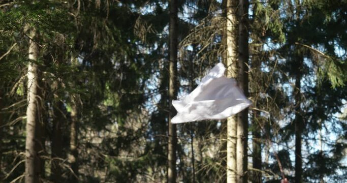 White peace or surrender flag being waived by male hand outside in a forest. White cloth rag on a chopped wooden stick, nature background, real time