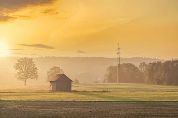 Fotobehang Honing Zonsopgang natuur landschap van platteland in Beieren, Duitsland