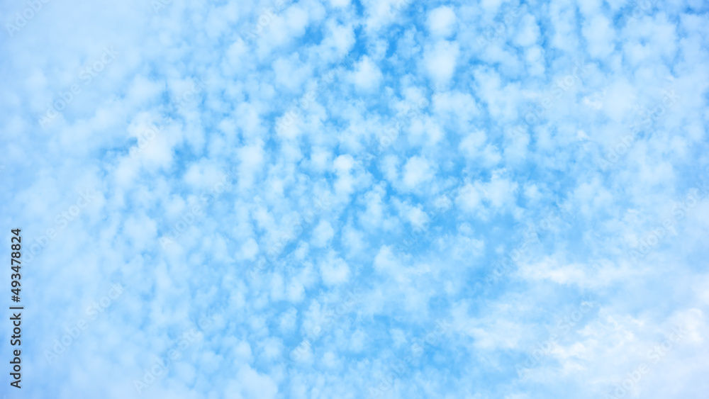 Canvas Prints blue sky with many small clouds