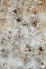 unevenly textured surface of a marbled stone tile