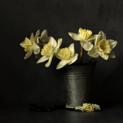 Stillleben mit Narzissen und Vintage Dekoration