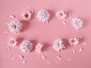 Pink frame of chrysanthemum flowers and petals on pink background. Trendy minimalist floral...