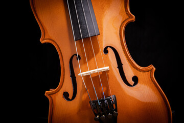 musical instrument, close up Violin on black background. Ancient stringed instrument. Classical...