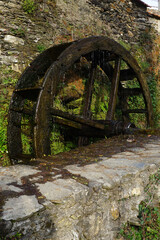 Rustic wheel of water mill
