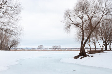 A winter landscape of a frozen river going to the pespective far away. Leafless trees are on the sides of the frame and in the foggy distance. Cloudy white sky is above