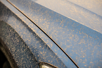 the varnish of a german car covered with sahara dust