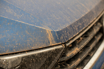 a car in germany covered by sahara dust - obrazy, fototapety, plakaty