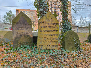 Three old tombstones with script written in Hebrew. The cemetery is situated in the polish city of...