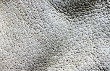 a leather light gray surface close up