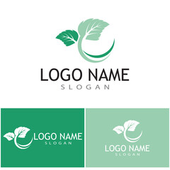 Mint leaves flat vector color icon template illustration design