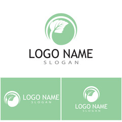 Mint leaves flat vector color icon template illustration design