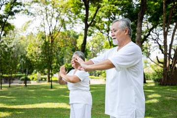 An elderly couple doing yoga lesson and Tai Chi in the garden with smiles brightly and enjoys from exercise. Healthy insurance and relaxation after retirement concept.
