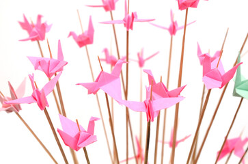 Pink origami paper cranes haning isolated white