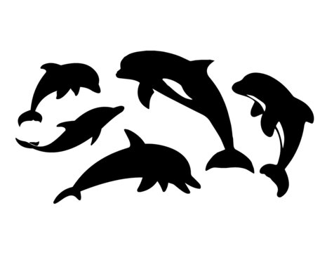 Dolphins Set