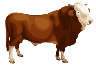 simmental breeder insemination clean isolated cattle 