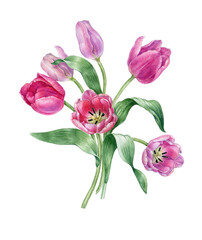 Watercolor spring flowers,Pink tulip bouquet, rustic easter flower,mother's day postcard.