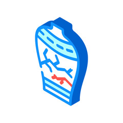 vase chinese isometric icon vector. vase chinese sign. isolated symbol illustration