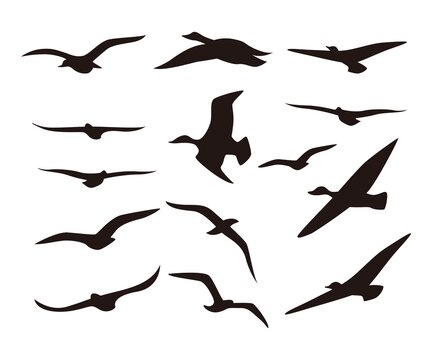 Silhouette flying birds icon set. Flying bird icon vector