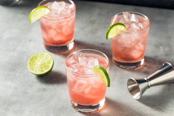 Boozy Refreshing Vodka Cranberry Cocktail
