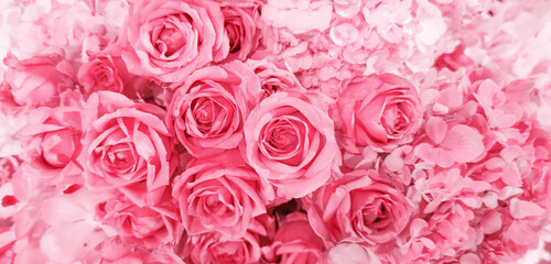 Pink rose texture background. Roses flower bouquet, horizontal