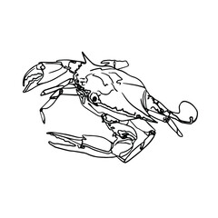 Crab Doodle, a hand drawn vector doodle of a crab line art crab.Ocean life.