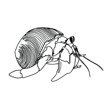 recommend clip art: Crab Doodle, a hand drawn vector doodle of a crab line art crab.Sealife 