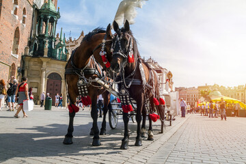 Naklejka na ściany i meble Horse carriages at Main Market Square Kraków. Popular tourist attraction, waiting in front of St. Mary's Basilica (Mariacki Church) in the Old Town of Krakow, Poland.