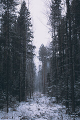 To more foto: Pexels | Danila Popov