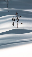 To more foto: Pexels | Danila Popov