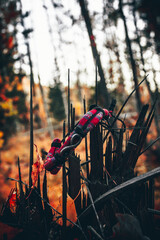 To more foto: Pexels | Danila Popov